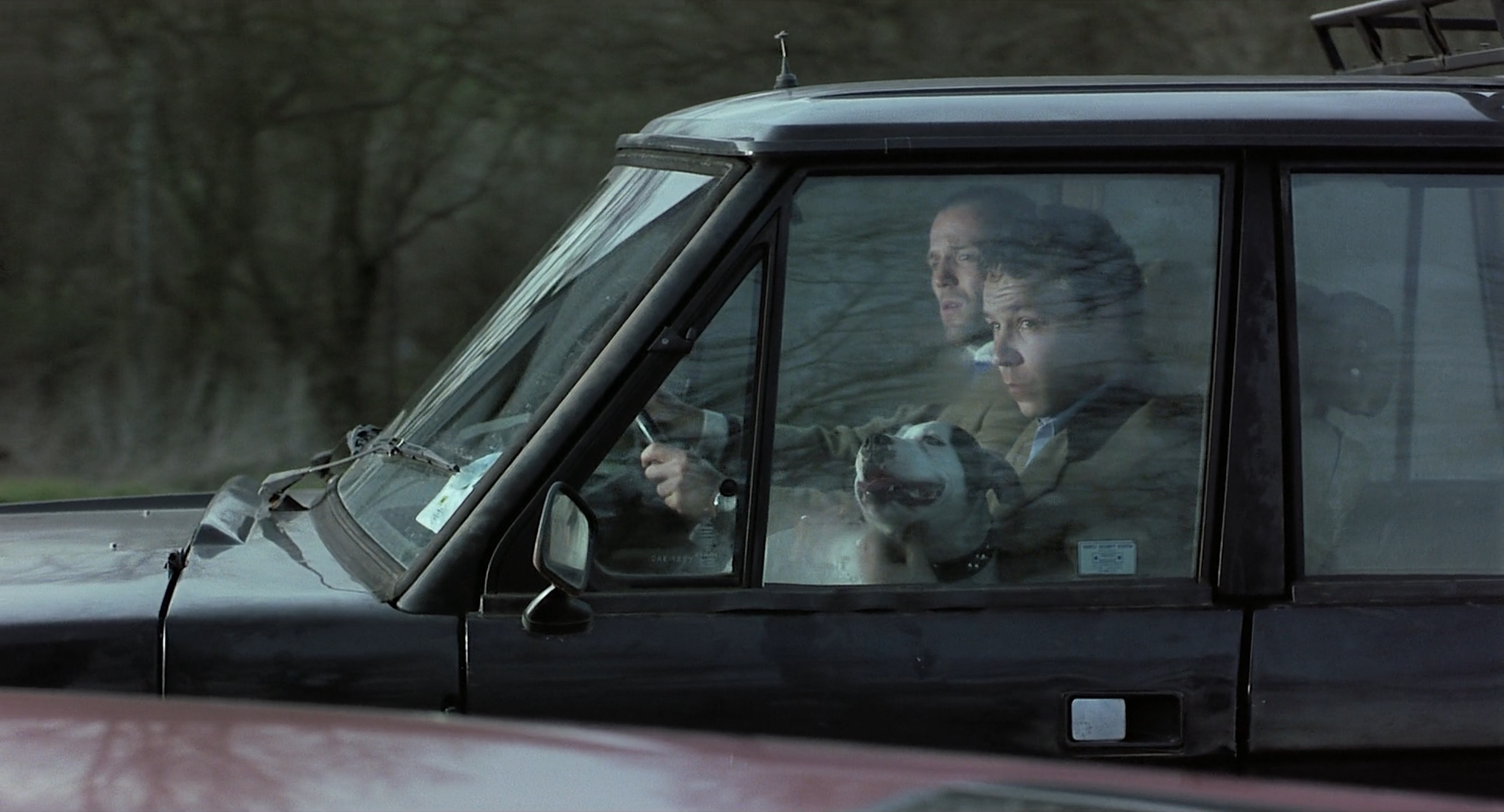 Two men and a dog in a car